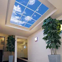 سقف استخر و سقف لمبه و سقف شبکه|خدمات پیشه و مهارت|تنکابن, |دیوار