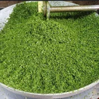 سبزی خرد شده خانگی|خوردنی و آشامیدنی|تهران, شکوفه|دیوار