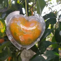 تبدیل محصولات معمولی به گنجینه لوکس و صادراتی