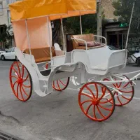 کالسکه اسب نوعه نوعه برای