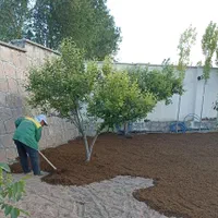 خدمات فضای سبز وباغبانی (کاشت چمن،سم پاشی،علف زنی)|خدمات باغبانی و درختکاری|تبریز, |دیوار