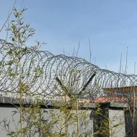 رابیتس پشم شیشه راویز نصب سیم خاردار سیم رابیتس|عمده‌فروشی|چهارباغ, |دیوار