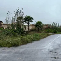 زمین ۸۰۰ متری در پستک المان .بر اصلی|فروش زمین و ملک کلنگی|رشت, پستک|دیوار