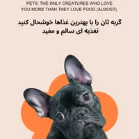 فروش انواع غذای گربه و سگ با قیمت مناسب|لوازم جانبی حیوانات|بندرعباس, |دیوار