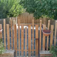 پانسیون نگهداری و آموزش سگ کوچیک و بزرگ|خدمات پیشه و مهارت|تهران, تهرانسر غربی|دیوار