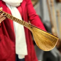 سه تار مهر نظری چوب گردو|سازهای سنتی|پردیس, |دیوار