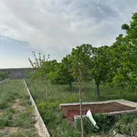 زمین،باغچه،آرامگاه فردوسی/تهاتر با طلا و قسطی|فروش خانه و ویلا|مشهد, آبادگران|دیوار