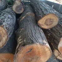 خرید وفروش انواع چوب وقطع وهرس درختان|خدمات باغبانی و درختکاری|مشهد, خواجه ربیع|دیوار