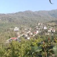 سوییت جنگلی همراه کلبه چوبی دل جنگل جواهرده|اجارهٔ کوتاه‌مدت ویلا و باغ|رامسر, |دیوار