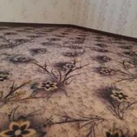 اقای موکت