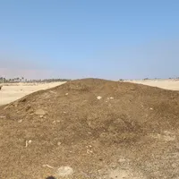 کود حیوانی