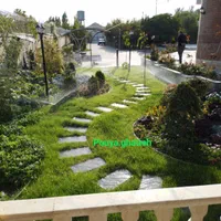 آبیاری قطره ای|خدمات باغبانی و درختکاری|مشهد, وکیل‌آباد|دیوار
