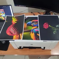 پرینتر رنگی HP 1025 در حد آکبند|پرینتر، اسکنر، کپی، فکس|تهران, قلهک|دیوار