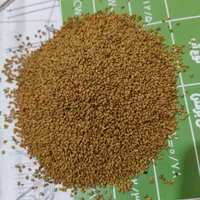 زرین بذر یونجه