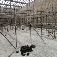 داربست فلزی جوانمرد محمودآبادی|خدمات پیشه و مهارت|شیراز, میانرود|دیوار