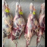 گوسفند تعاونی 100٪نصف گوشت به ضمانت سالم بودن|حیوانات مزرعه|مشهد, جانباز|دیوار