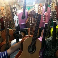 آموزش تضمینی گیتار تنها در ده جلسه