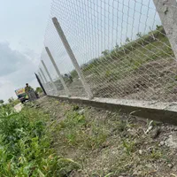 تولیدفنس پایه بتنی اجراصفرتاصدفنس کشی صادقی|خدمات باغبانی و درختکاری|گرگان, |دیوار