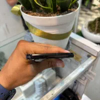 سامسونگ Galaxy S23 plus با حافظهٔ ۲۵۶ گیگابایت|موبایل|کرج, کوی امامیه|دیوار
