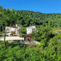 ویلای جنگلی دو خواب با ویو کوه و دریا|اجارهٔ کوتاه‌مدت ویلا و باغ|رامسر, |دیوار