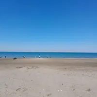 ۳۰۰۰مترزمین مشارکت خط یک دریادوبرفریدونکنار