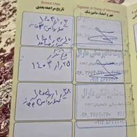 بچه گربه پرشین|گربه|کرج, مصباح|دیوار