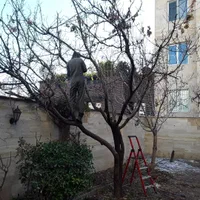 باغبانی لواسان ،فشم،پردیس،رودهن،دماوند