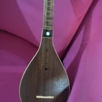 سه تار پژمان