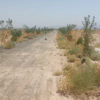 زمین ملکی ۳۰۰متری با وکالت کلاکوب|فروش زمین و ملک کلنگی|مشهد, امام خمینی|دیوار