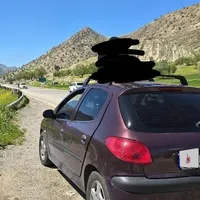۲۰۶ تیپ ۵ مدل ۹۱