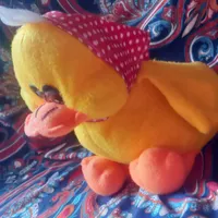 جوجه اردک|اسباب‌‌بازی|زرقان, |دیوار