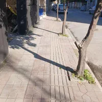 اجاره روزانه/هفتگی/ماهانه آپارتمان ۵۰ متری|اجارهٔ کوتاه‌مدت آپارتمان و سوئیت|نکا, |دیوار