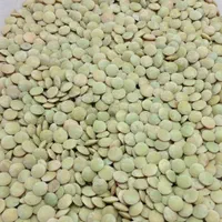 انواع حبوبات لوبیا چیتی لپه برنج|خوردنی و آشامیدنی|اصفهان, ابر|دیوار