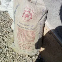 بار کبوتر