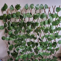 جشنواره چمن مصنوعی دیوارسبز فنس چمنی برگ آکاردئونی|خدمات باغبانی و درختکاری|اصفهان, قائمیه|دیوار