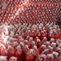 فروش و شارژ و نصب انواع کپسول های آتش نشانی|ابزارآلات|برازجان, |دیوار