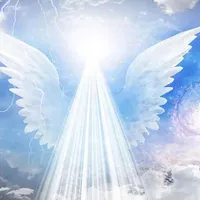 خرید و فروش فیش حج بدون واسطه