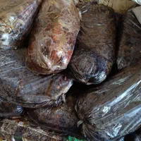 مویز وکشمش خرما خمیر خرما شیره خرما|عمده‌فروشی|شیراز, شهرک مدرس|دیوار