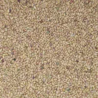 زرین بذر یونجه|خدمات باغبانی و درختکاری|شیراز, خلدبرین|دیوار