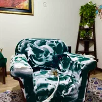 مبل شویی تضمینی اندیشه شهریار فردیس مارلیک ملارد|خدمات نظافت|اندیشه, |دیوار