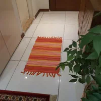 ۲ عدد پادری