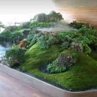 درخت جاودان،دیوارسبز،باغچه،پلنت،صخره|گل و گیاه طبیعی|تهران, اکباتان|دیوار
