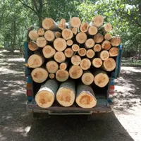 خریدار انواع چوب تر و خشک تیرسقفی ساختمان