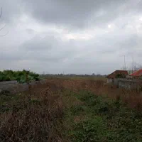 فروش یک قطعه زمین برای سرمایه گذاری|فروش زمین و ملک کلنگی|لشت نشا, |دیوار