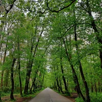 سوییت زیبا و کلبه ای در روستای تونل جنگلی گردشگری