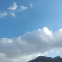 کارگر مرغداری تخمگذار