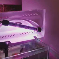 اکواریوم به همراه یک عدد ماهی و پمپ آب و چراغ Led|ماهی|تهران, مسعودیه|دیوار