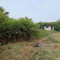 خدمات علف تراشی و قطع چوب و حرص درخت|خدمات باغبانی و درختکاری|قائمشهر, |دیوار