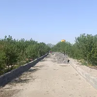 فروش زمین باغ وباغچه.از۱۰۰مترتا۱۰۰۰متری.شهریار|فروش زمین و ملک کلنگی|تهران, پونک|دیوار