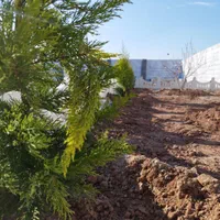 فروش باغچه  ۱۵۲ متری سنددار تهاتر دارم|فروش زمین و ملک کلنگی|تهران, یافت آباد شمالی|دیوار